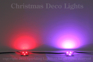 LEDモジュール、SMD5050型、3球1アドレス×50モジュール、RGB(フルカラー)、CCR(LOR)互換、20㎝ピッチ