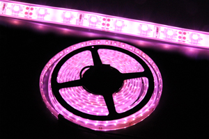 防水型LEDテープライト、SMD3528型(R2)、ピンク、300球、5m巻、白基板、部品別売り