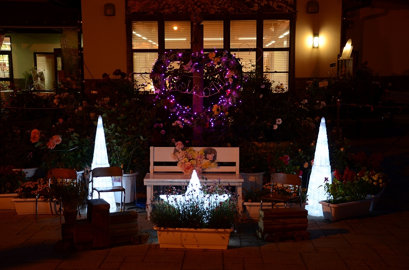 クリスマスデコライト かのやばら園 かのやばら祭り13春 鹿児島県鹿屋市 のイルミネーション写真 のページ
