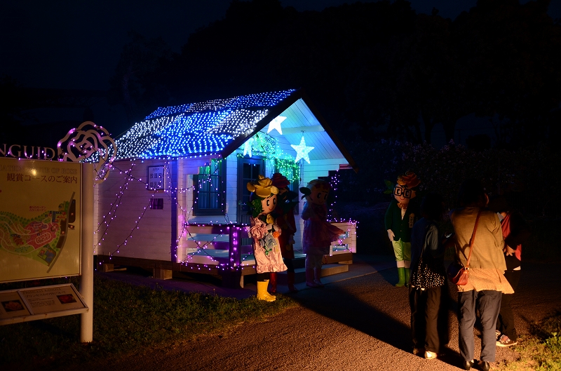 クリスマスデコライト かのやばら園 かのやばら祭り13春 鹿児島県鹿屋市 のイルミネーション写真 のページ