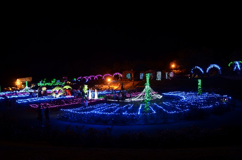 クリスマスデコライト かのやばら園 かのやばら祭り13春 鹿児島県鹿屋市 のイルミネーション写真 のページ