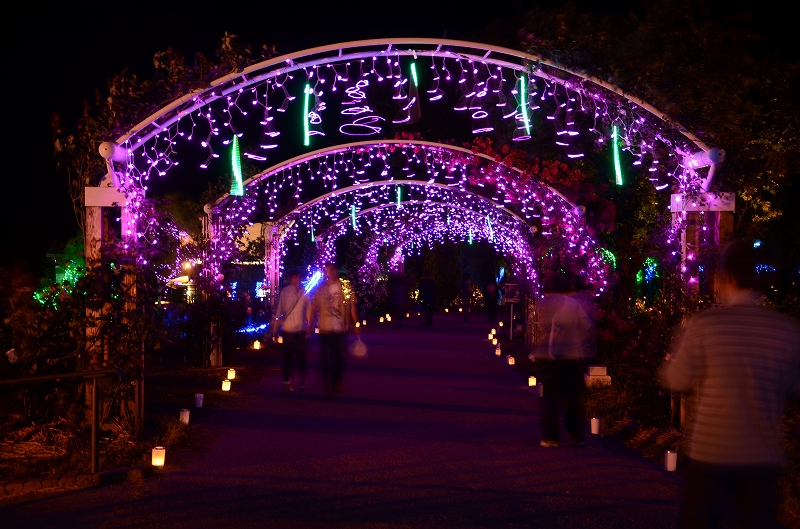 クリスマスデコライト かのやばら園 かのやばら祭り13春 鹿児島県鹿屋市 のイルミネーション写真 のページ