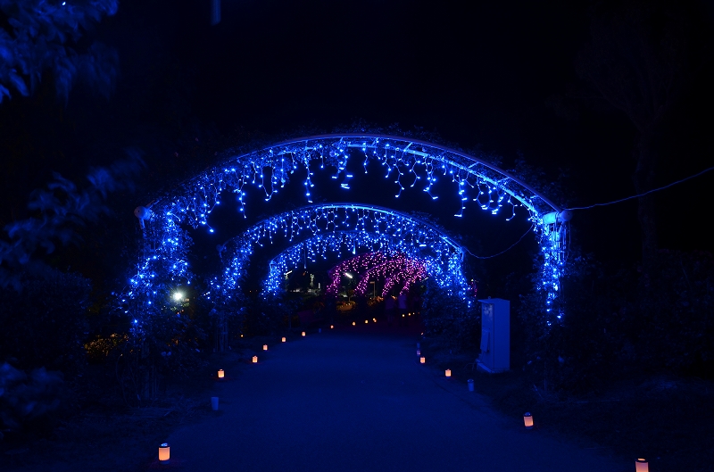 クリスマスデコライト かのやばら園 かのやばら祭り13春 鹿児島県鹿屋市 のイルミネーション写真 のページ