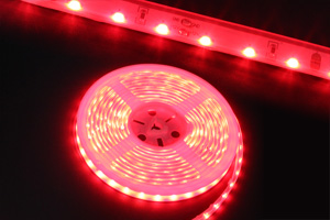防水型LEDテープライト、側面発光、SMD020型、赤色、300球、5m巻、部品別売り