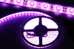 防水型LEDテープライト、SMD3528型、パープル(紫)、300球、5m巻、白基板、部品別売り