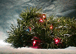 Garland